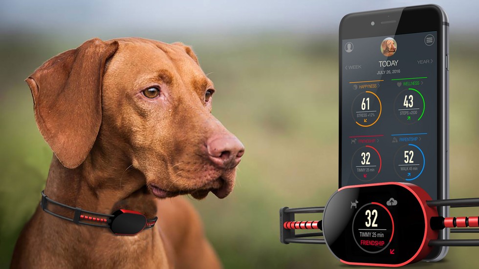 犬のためのApple Watch!？首輪型のスマートデバイス「SensDog」がクラウドファンディングで出資を募集中 ...