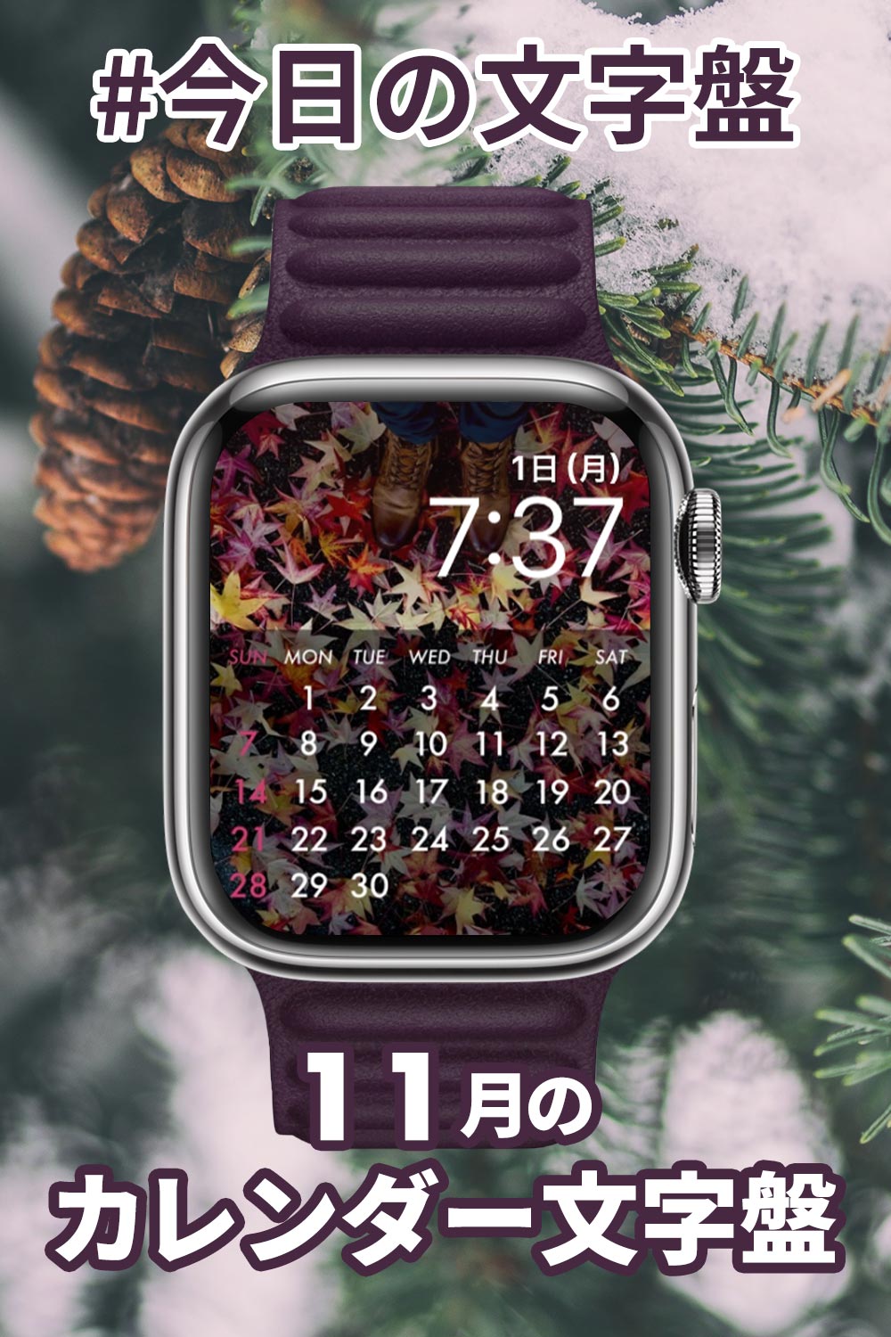 11月1日「11月のカレンダー」のApple Watch文字盤